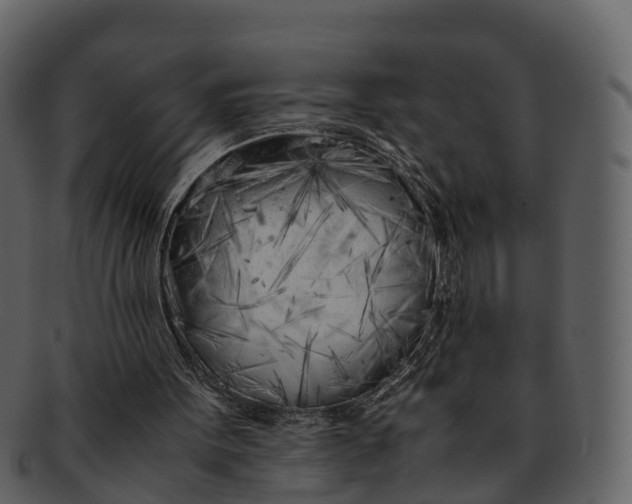 X0000092330099200710051322