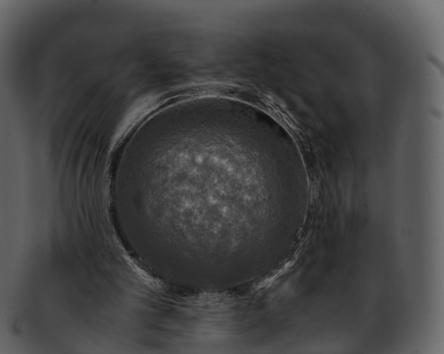 X0000092330101200710051322