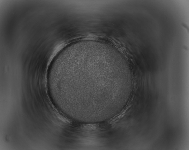 X0000092330102200710051322