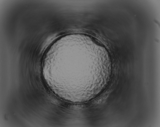 X0000092330103200710051322