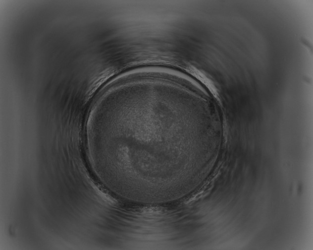 X0000092330105200710051322
