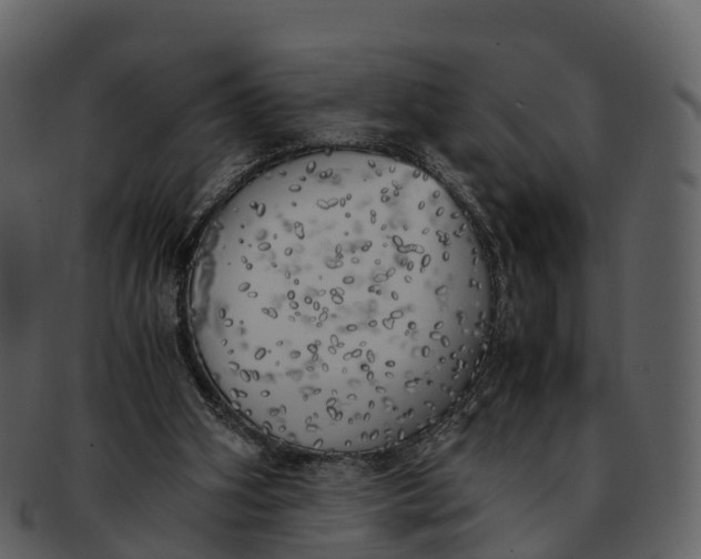X0000092330106200710051322