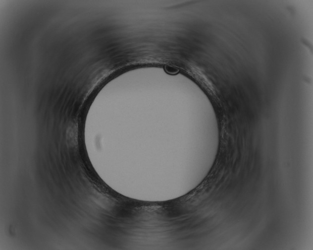 X0000092330108200710051322