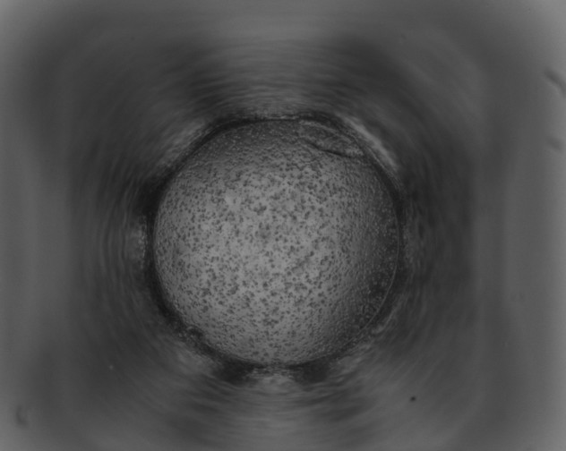 X0000092330113200710051322
