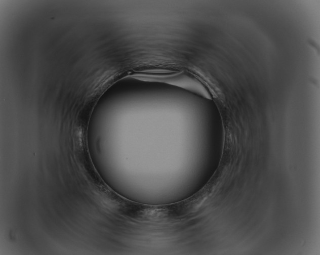 X0000092330117200710051322