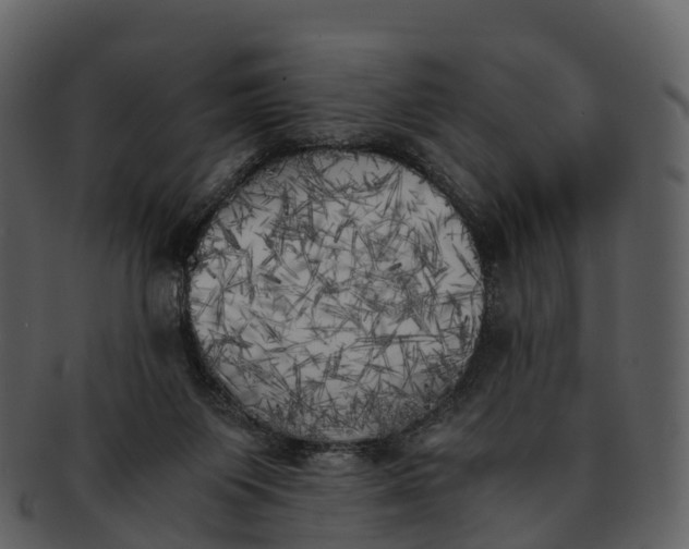 X0000092330119200710051322