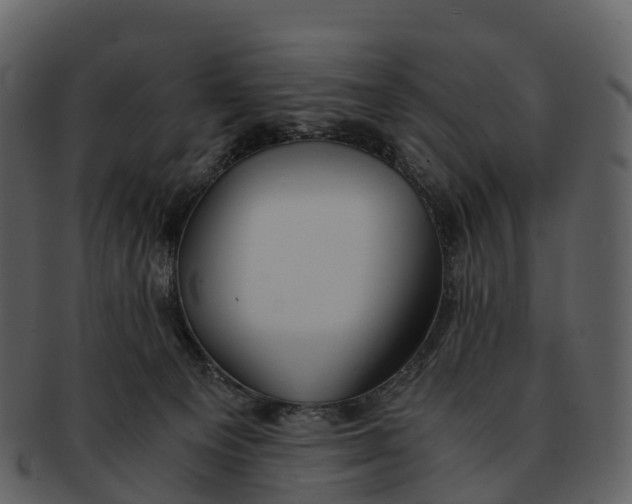 X0000092330129200710051322