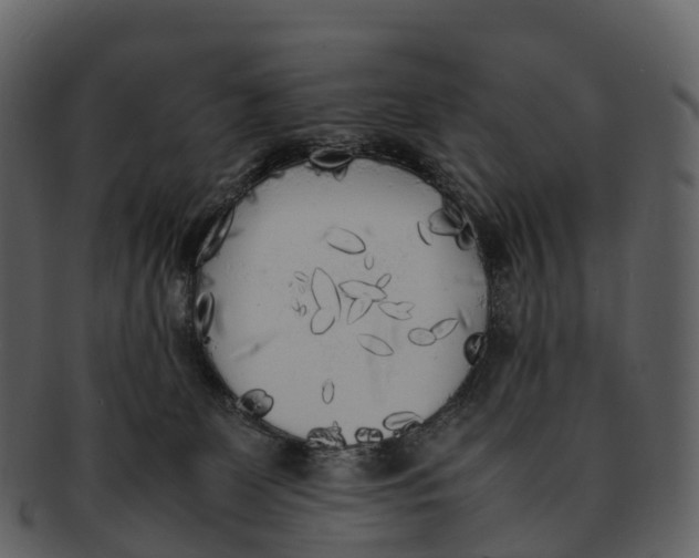 X0000092330131200710051322