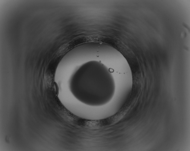 X0000092330139200710051321
