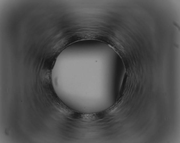 X0000092330141200710051321