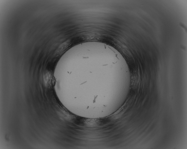 X0000092330142200710051321