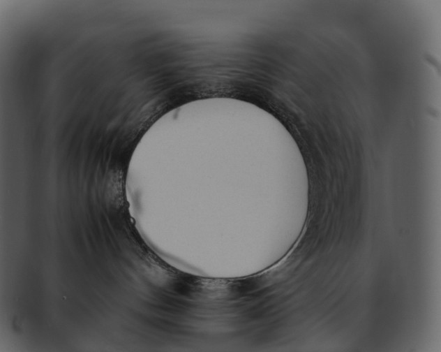 X0000092330144200710051321