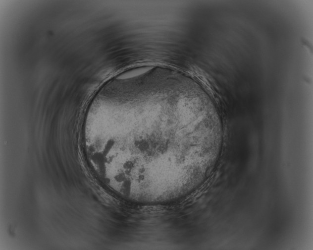 X0000092330145200710051321