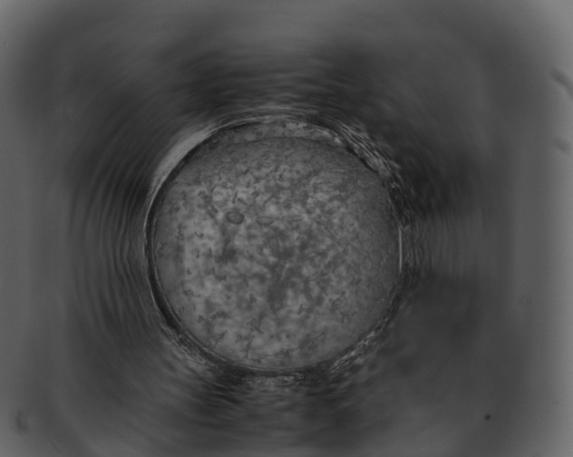 X0000092330147200710051321