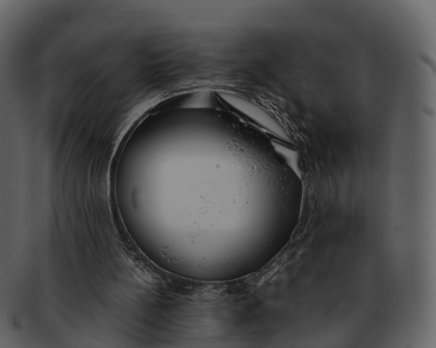 X0000092330148200710051321