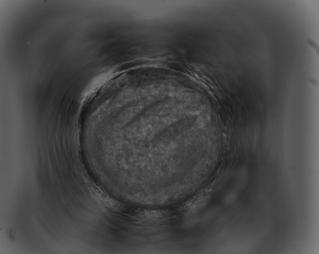 X0000092330149200710051321