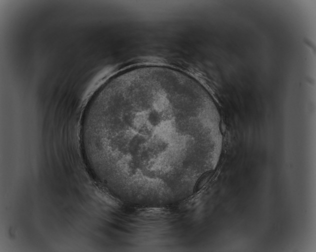 X0000092330151200710051321