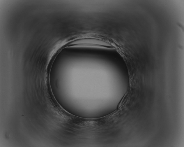 X0000092330152200710051321