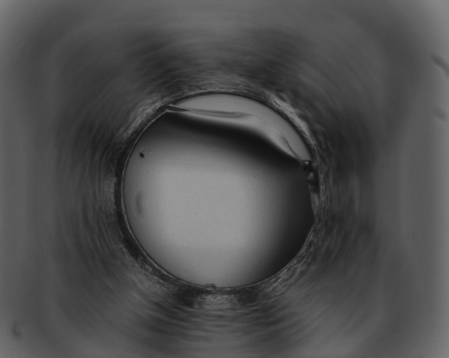 X0000092330154200710051321