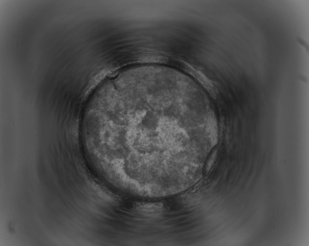 X0000092330155200710051321