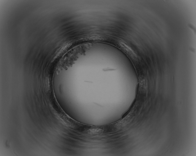 X0000092330158200710051321