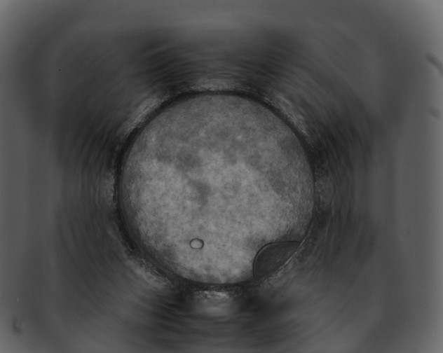 X0000092330159200710051321