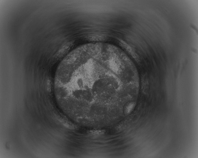 X0000092330161200710051321