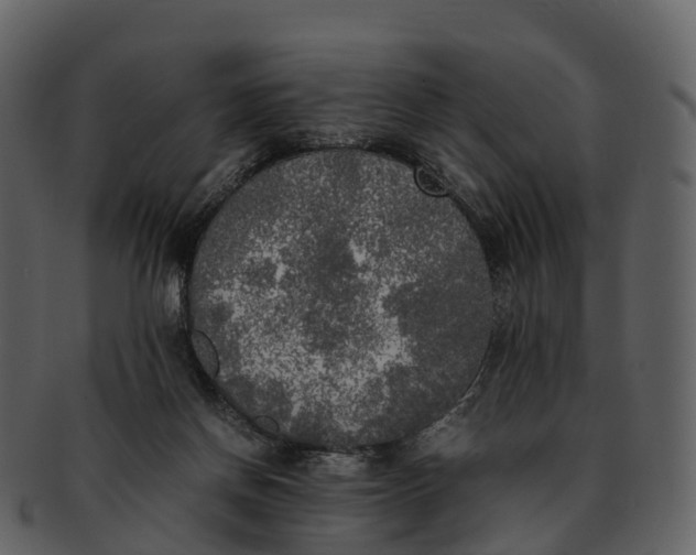 X0000092330166200710051321