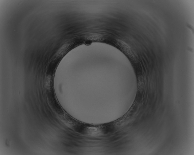 X0000092330167200710051321