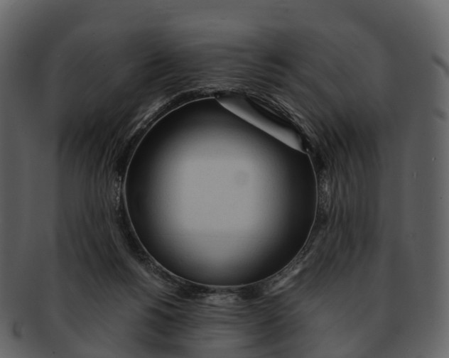X0000092330168200710051321
