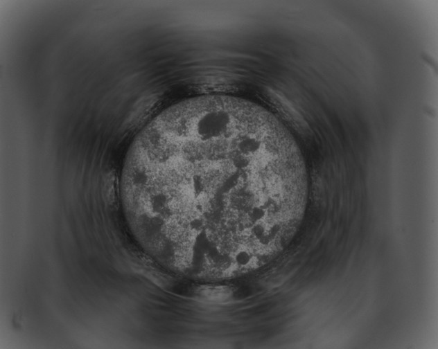 X0000092330169200710051321