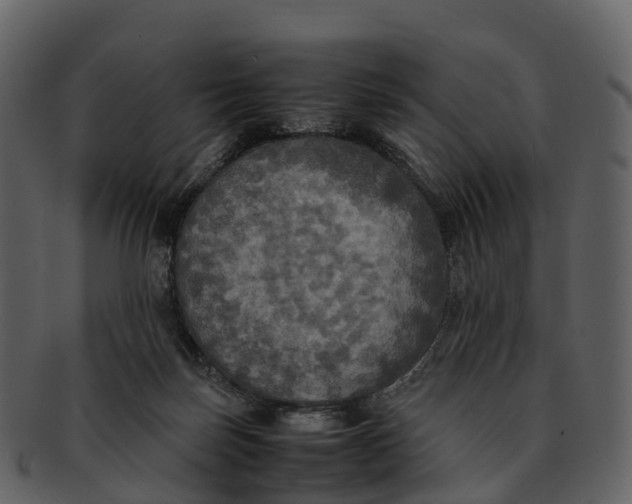X0000092330171200710051321