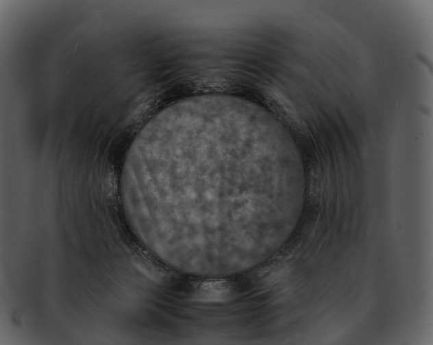 X0000092330173200710051321