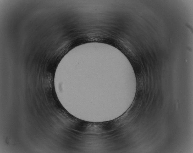 X0000092330174200710051321