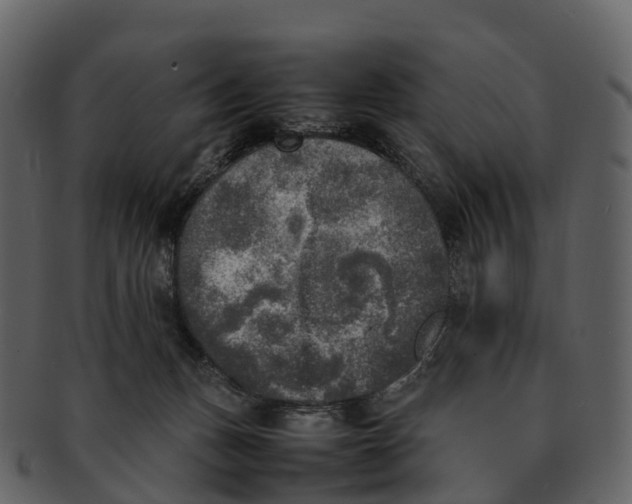 X0000092330175200710051321