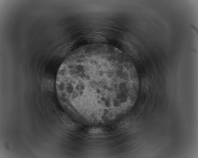 X0000092330177200710051321