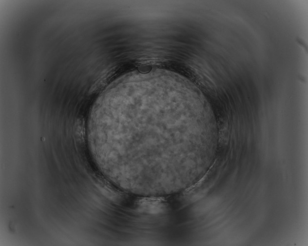 X0000092330179200710051321