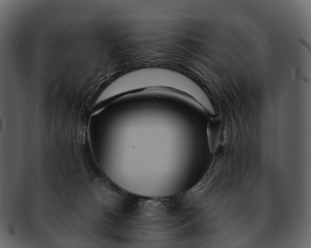 X0000092330180200710051321