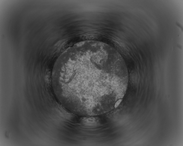 X0000092330181200710051321