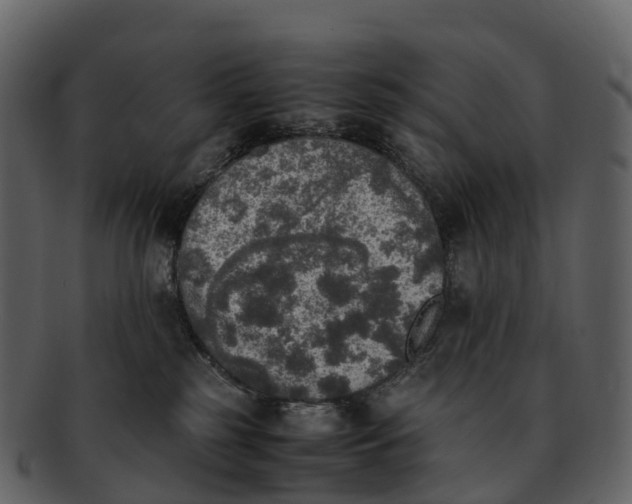 X0000092330185200710051321
