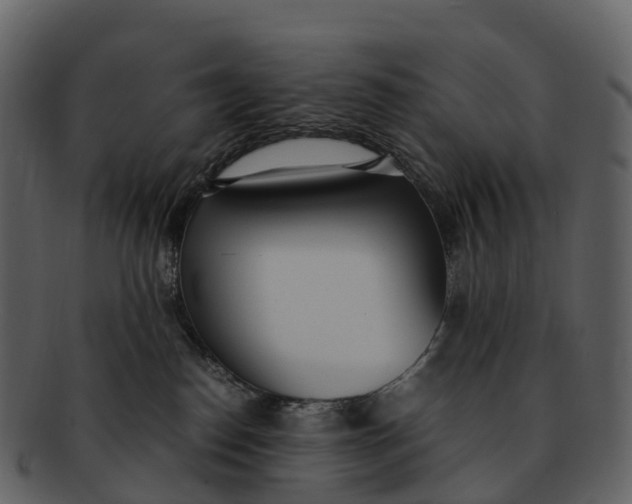 X0000092330186200710051321