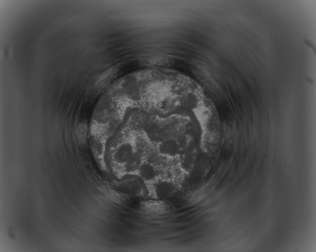 X0000092330189200710051321