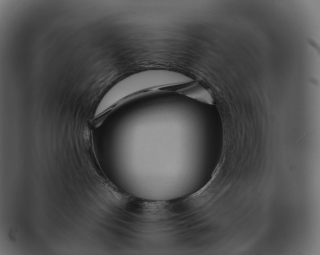 X0000092330192200710051321