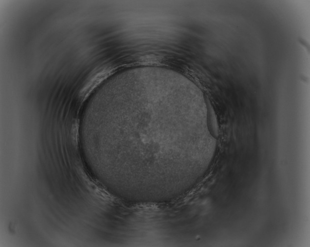 X0000092330194200710051321