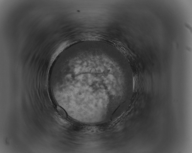 X0000092330195200710051321
