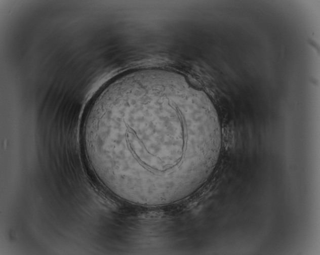 X0000092330196200710051321