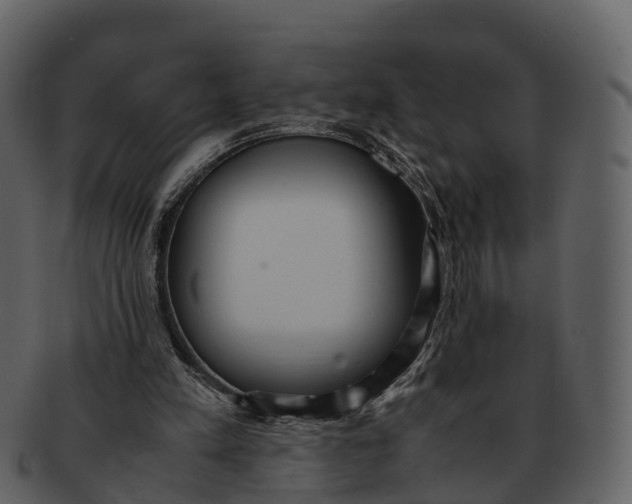 X0000092330197200710051321