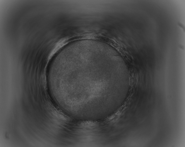 X0000092330198200710051321