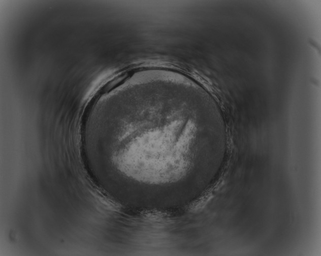 X0000092330199200710051321