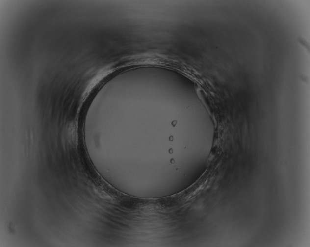 X0000092330200200710051321